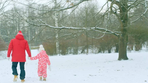Küçük çocuk ile dedesi kış parkta yürüyüşe sahip