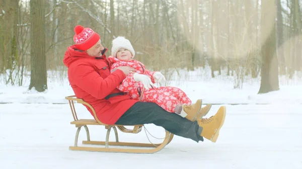 Mutlu küçük çocuk ve dedesi kış parkta kızak üzerinde