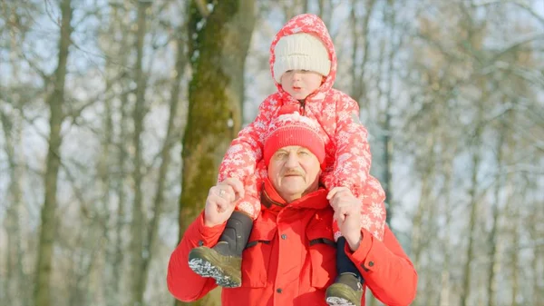 Little boy is sitting on his grandfather shoulders while walking in the winter park — Stock Photo, Image