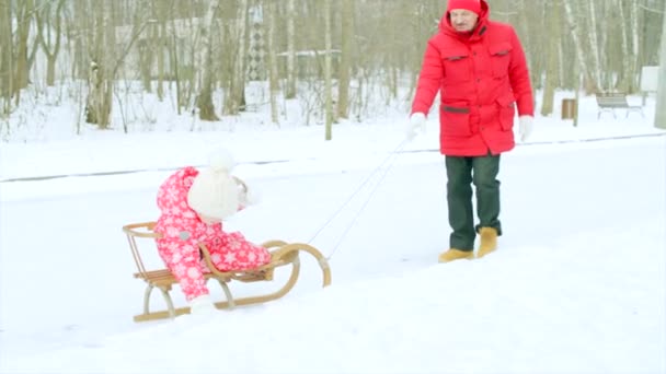 愉快的小男孩在雪撬在冬天公园与他的祖父 — 图库视频影像