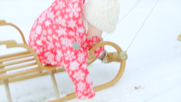 Šťastný chlapec na saních v zimě parku s dědečkem — Stock video