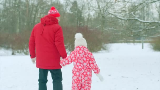 Kleiner Junge spaziert mit seinem Opa im Winterpark — Stockvideo