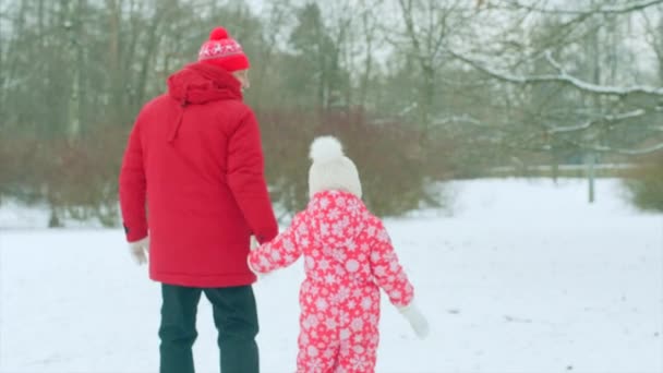 Liten pojke har en promenad med sin farfar i Vinterparken — Stockvideo