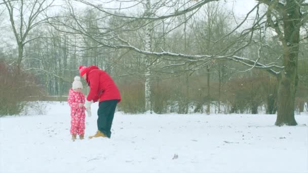 O rapazinho está a passear com o avô no parque de Inverno. — Vídeo de Stock