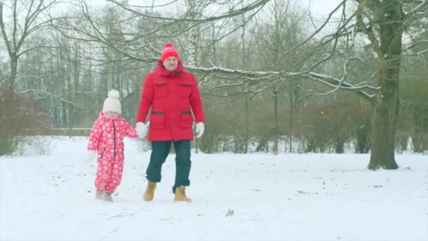 Jongetje ondervindt een wandeling met zijn grootvader in de winter park — Stockvideo