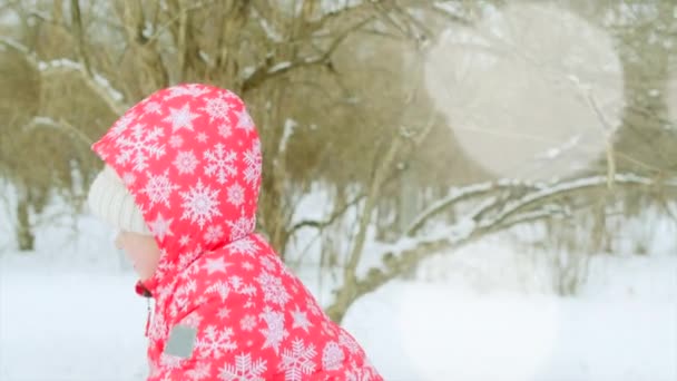 小さな男の子は、ウィンター パークの彼の祖父の雪玉を遊んでいます。 — ストック動画