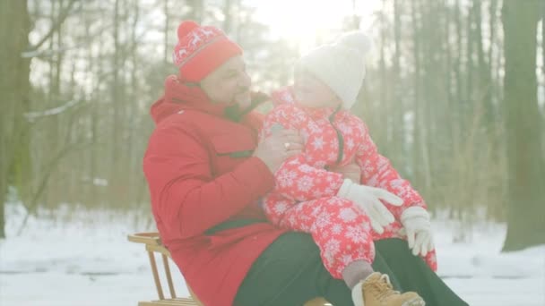 快乐的小男孩和他的祖父在冬天公园的雪橇上 — 图库视频影像