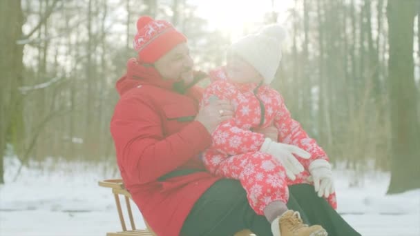 Щасливий маленький хлопчик і його дід на санях в зимовому парку — стокове відео