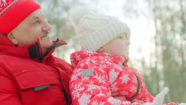 小男孩和他的祖父在冬天晴朗的天 — 图库视频影像