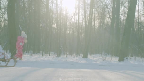 小男孩正扛着满是圣诞礼物的雪橇。 — 图库视频影像