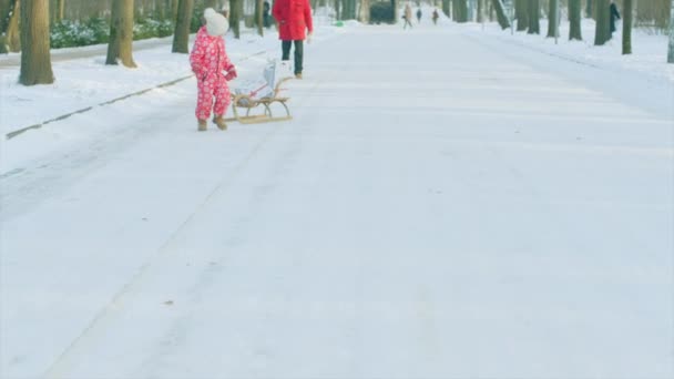 Little boy with christmas gifts in his sledge — Stock Video