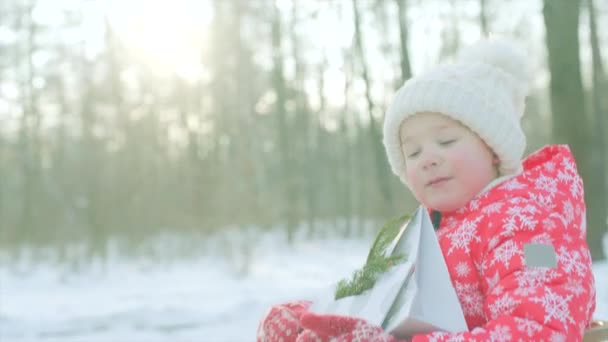 Kleiner Junge mit Weihnachtsgeschenken im Schlitten — Stockvideo