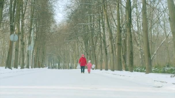 Kisfiú és a nagyapja gyaloglás ajándék táskákkal a kezükben — Stock videók