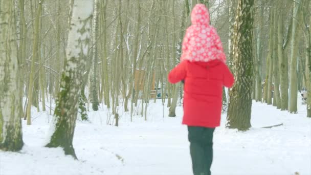 El niño está sentado sobre los hombros de su abuelo mientras camina en el parque de invierno. — Vídeos de Stock