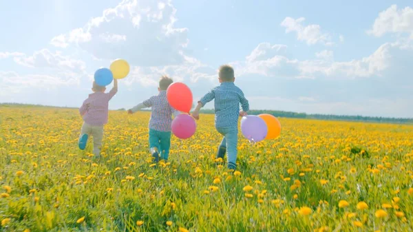 夏の休日を開花フィールドで実行している色の風船を 3 つの男の子 — ストック写真
