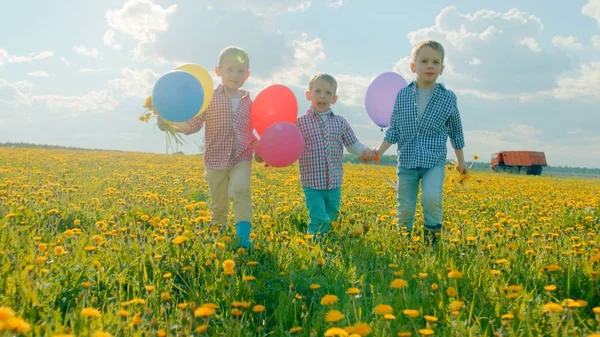 開花フィールドで夏休みの上を歩いて色の風船を 3 つの男の子 — ストック写真