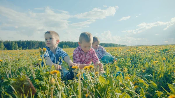 Üç küçük erkek çim alan oynuyorlar