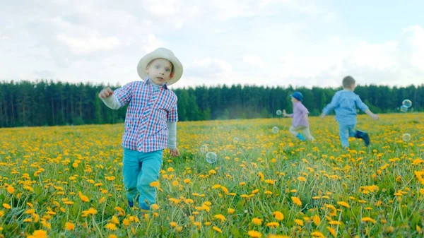 Kleine Jungen spielen mit Blasen auf blühendem Feld — Stockfoto