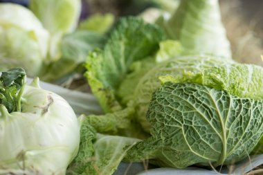 Kavramını vejetaryenlik ve sağlıklı beslenme - beyaz lahana