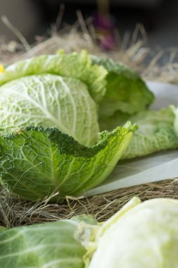 Kavramını vejetaryenlik ve sağlıklı beslenme - beyaz lahana