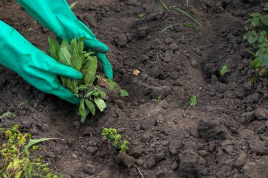 Bahçede çalışıyorum.