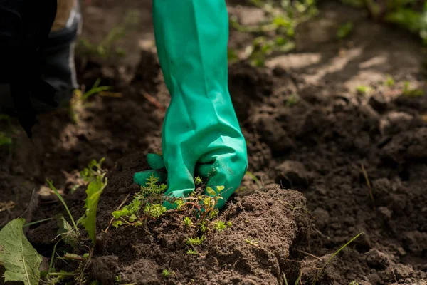 Bahçede çalışıyorum.