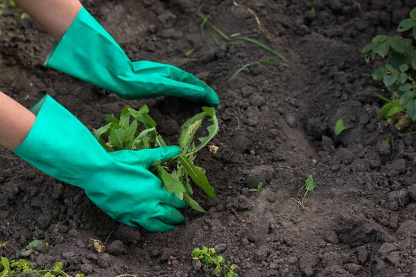 Bahçede çalışıyorum.