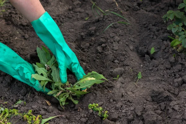 Bahçede çalışıyorum.