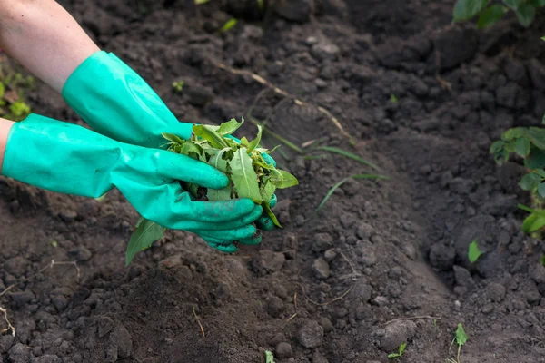 Bahçede çalışıyorum.