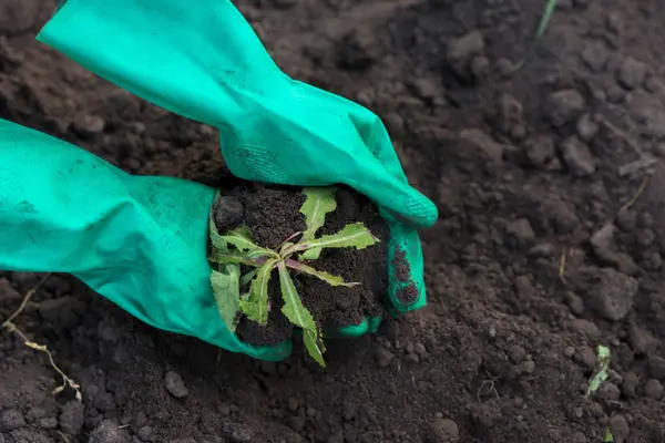 Bahçede çalışıyorum.