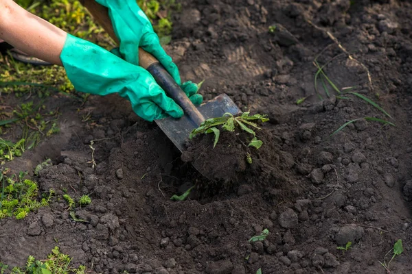 Bahçede çalışıyorum.