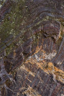 yeşil yosun ile eski taş