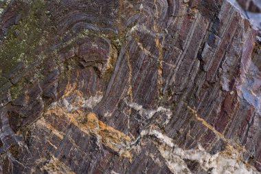 yeşil yosun ile eski taş