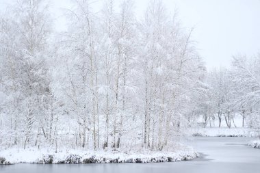 manzara hala gölet değil