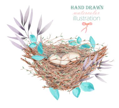 Yumurta ile suluboya kuş yuvası İllüstrasyon, el beyaz bir arka plan üzerinde izole çizilmiş
