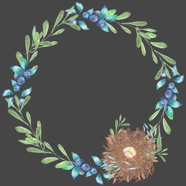 Circle frame, wreath with watercolor green branches, blueberries and bird nest, hand drawn on a dark background — Stock Photo, Image