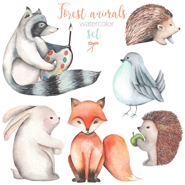 Collection, set of watercolor cute forest animals illustrations — Stock Photo, Image