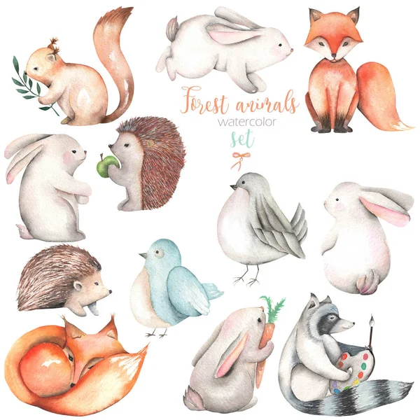 Inkasszó, akvarell aranyos erdő-állatok-illusztrációk — Stock Fotó