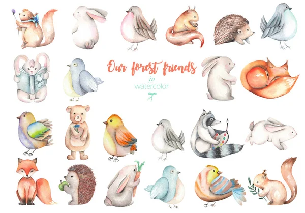 集合，设置的水彩可爱的森林动物插图 — 图库照片