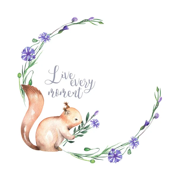 Illustration, wreath with watercolor squirrel and cornflowers — Stock Photo, Image