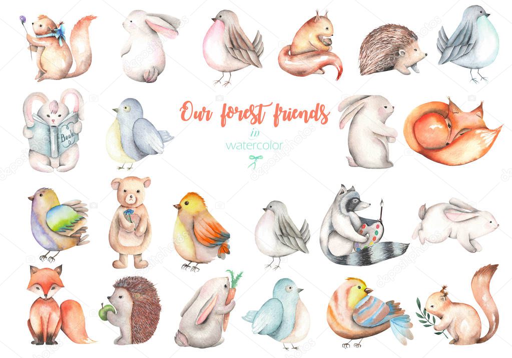 Collection, set of watercolor cute forest animals illustrations