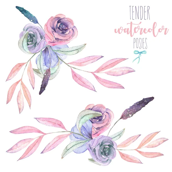 Σετ με απομονωμένες ακουαρέλα floral μπουκέτα από τρυφερά λουλούδια και τα φύλλα σε ροζ και μοβ αποχρώσεις παστέλ — Φωτογραφία Αρχείου