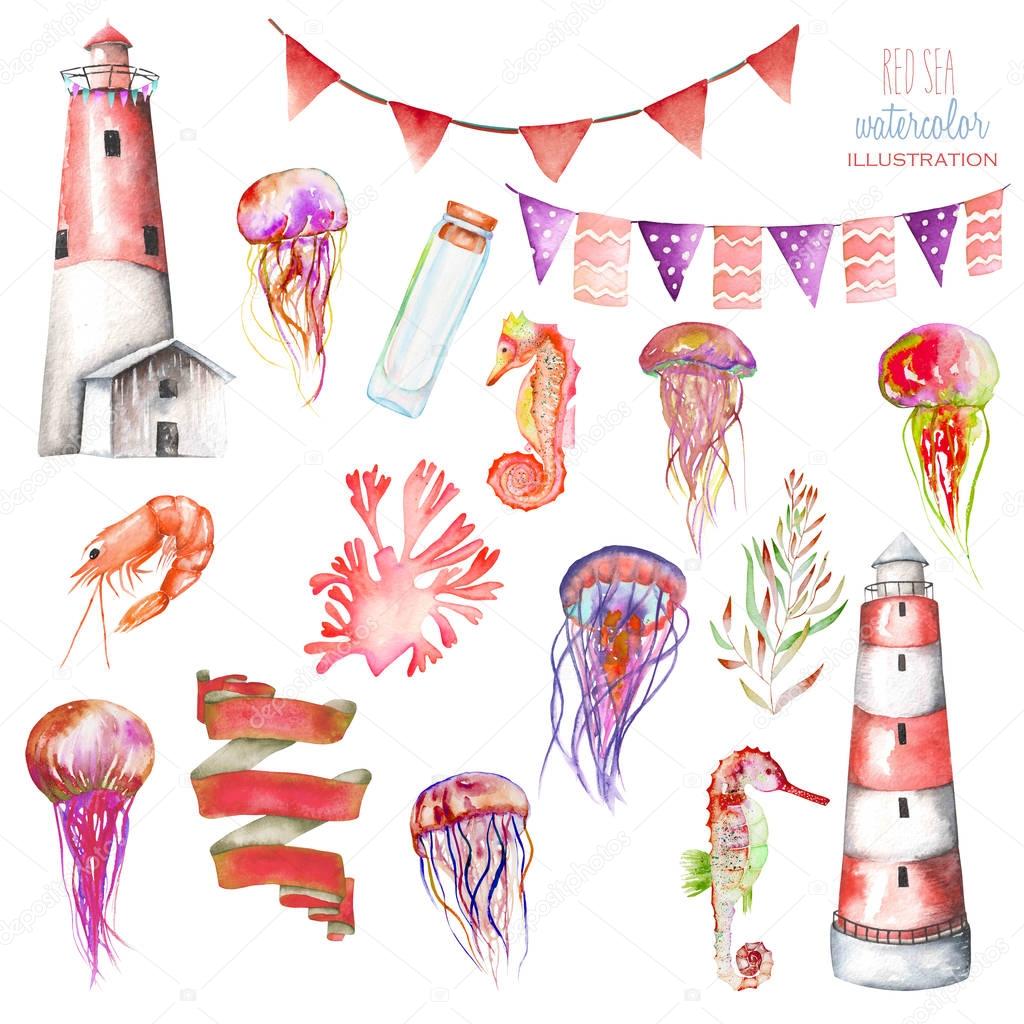 Set of watercolor elements to the marine theme: lighthouse, jellyfishes, flags, sea horses, seaweeds and others