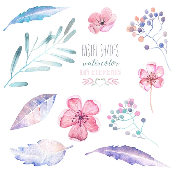 Ensemble avec des éléments floraux aquarelle isolés : fleurs tendres et feuilles dans des tons pastel, dessinées à la main sur un fond blanc — Photo