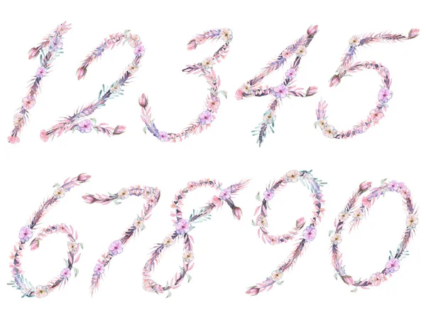 Set di numeri di fiori rosa e viola acquerello, mano isolata disegnata su uno sfondo bianco — Foto Stock