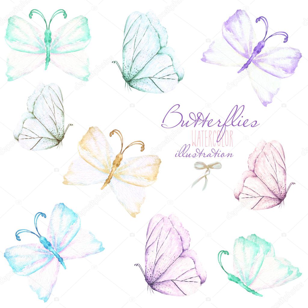Set, collection of watercolor tender butterflies