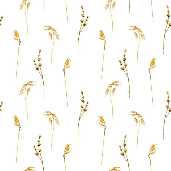 Květinový vzor bezešvé s klásky pšenice a další suché trávy — Stock fotografie