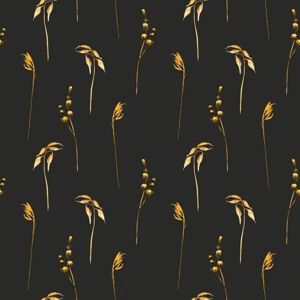 Patrón floral sin costuras con espiguillas de trigo y otra hierba seca —  Fotos de Stock