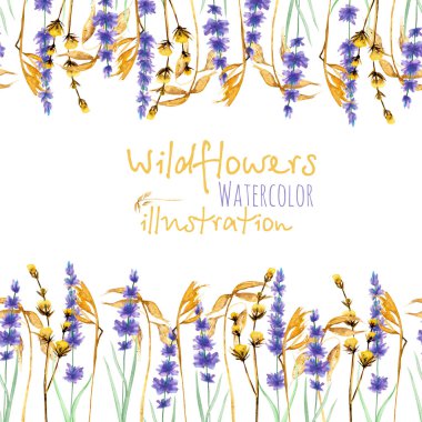 Kır çiçekleri, dryflowers ve lavanta ile çerçeve kenarlığı