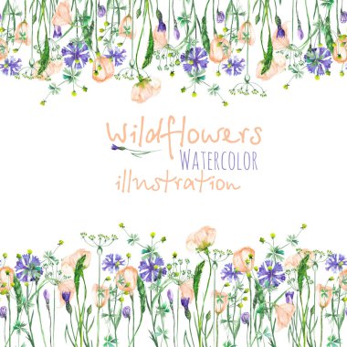 Frame border with wildflowers, eustoma and cornflowers clipart